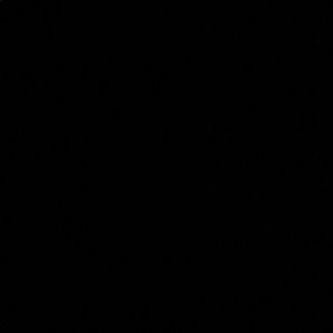 Meet your Posher, Monique